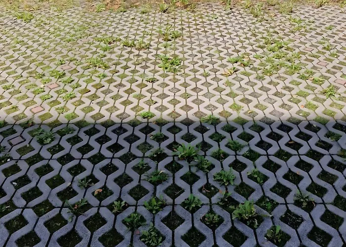 Anne, Grosszuegige Apartament Chemnitz